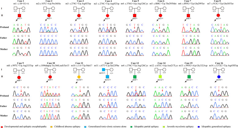 SLC2A1 variants cause late-onset epilepsy and the genetic-dependent stage feature : For the China Epilepsy Gene 1.0 Project.