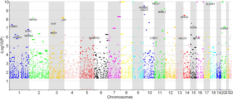 Deep joint learning diagnosis of Alzheimer's disease based on multimodal feature fusion.