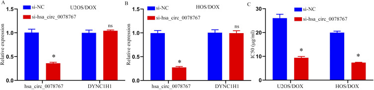 Hsa_circ_0078767 Enhances Osteosarcoma Chemoresistance to Doxorubicin Through the Regulation of the miR-188-3p/GPX4 Axis.