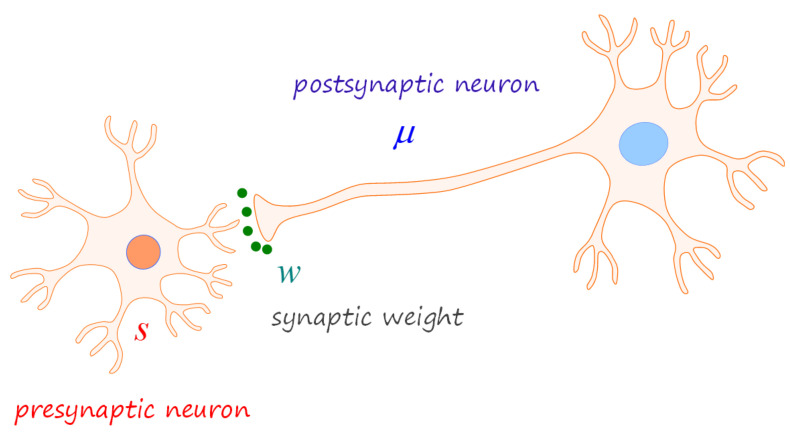 Bayesian Mechanics of Synaptic Learning Under the Free-Energy Principle.