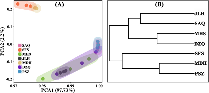 Morphological adaptation strategy of invasive plant <i>Ambrosia trifida</i> seed distributed along rivers is closely related to soil nutrients.