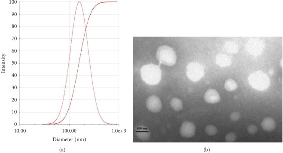 Baicalein Long-Circulating Liposomes Improve Histological and Functional Outcomes After Traumatic Brain Injury.