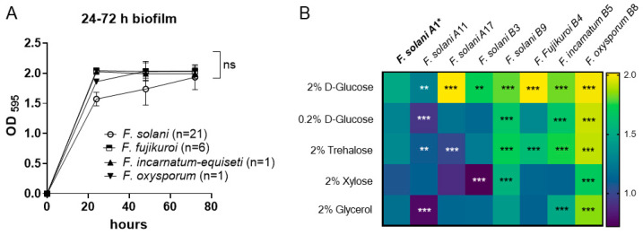 Biofilm Formation in Clinical Isolates of <i>Fusarium</i>.