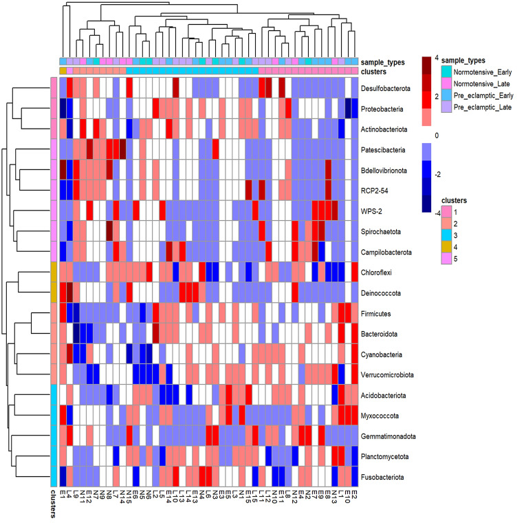 Evaluation of the Human Placental Microbiota in Early- and Late-Onset Pre-Eclampsia.