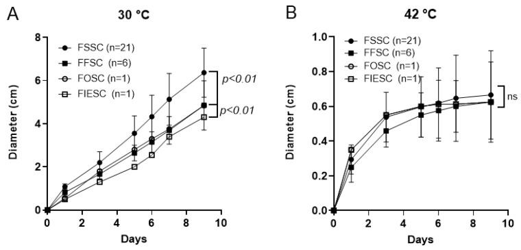 Biofilm Formation in Clinical Isolates of <i>Fusarium</i>.