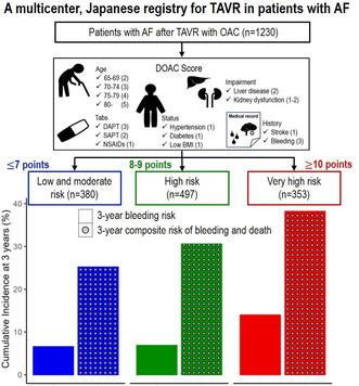 Association Between Direct Oral Anticoagulant Score and Bleeding Events in Patients With Atrial Fibrillation Following Transcatheter Aortic Valve Replacement: A Retrospective Multicenter Cohort Study.