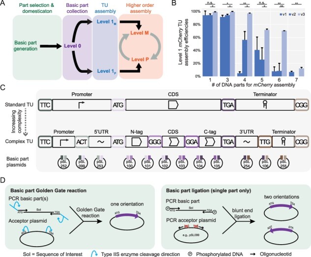 <i>In</i>- & <i>Out-Cloning</i>: plasmid toolboxes for scarless transcription unit and modular Golden Gate acceptor plasmid assembly.