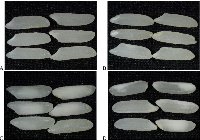 Grain Quality of Panicle Portions in Chalky and Low-Chalky Rice Cultivars.
