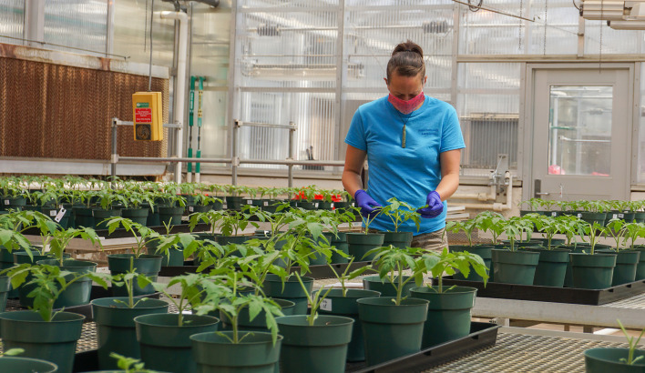 Can microbiome adaptations protect crops from pests and climate change?