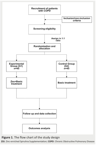 Impacts of zinc enriched spirulina as an adjunct to conventional treatment of patients with Chronic Obstructive Pulmonary Disease: Study protocol for a North African randomized controlled trial (SPIRICOPD).