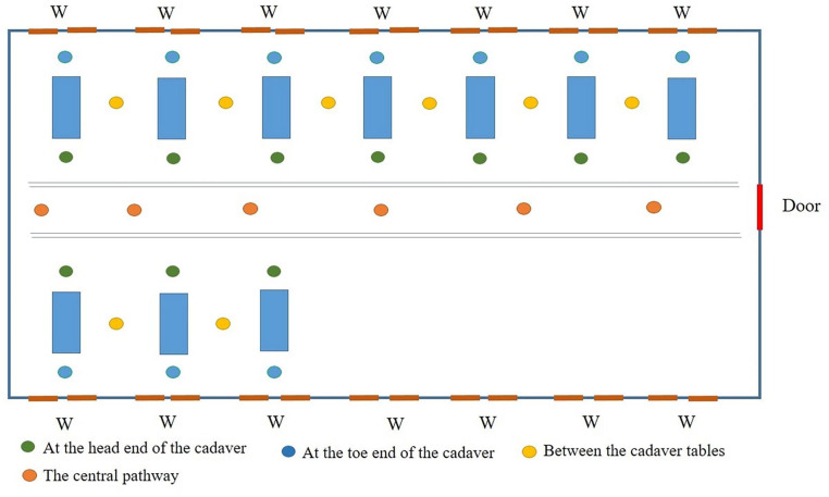 Formaldehyde Levels and the Indoor Air Quality of an Anatomy Dissection Hall with Different Ventilation Setups.