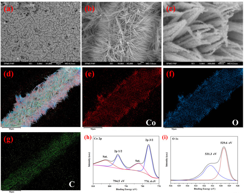 Synthesis of Needle-like CoO Nanowires Decorated with Electrospun Carbon Nanofibers for High-Performance Flexible Supercapacitors.