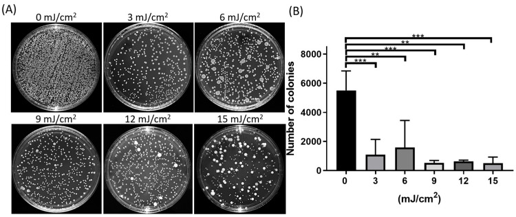 Far-Ultraviolet C Disinfection Reduces Oxidative Damage to the Cornea Compared to Povidone-Iodine Disinfection.