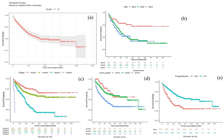Unveiling Recurrence Patterns: Analyzing Predictive Risk Factors for Breast Cancer Recurrence after Surgery.