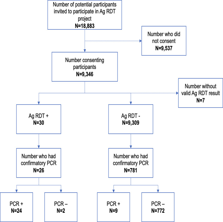 Exploring the use of COVID-19 antigen rapid diagnostic tests among displaced populations in Iraq: findings from a pilot project in four IDP camps.