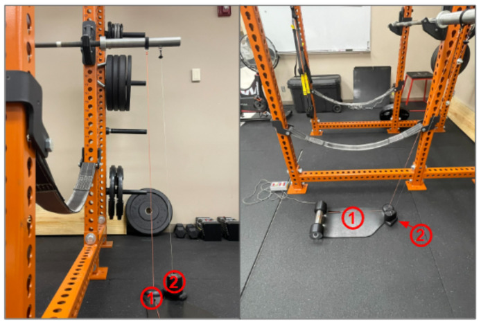 Validity, Reliability, and Sensitivity of a Commercially Available Velocity Measuring Device When Performing Selected Exercises.