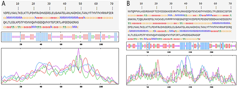 Bioinformatic features and immunological response of recombinant antigen CTLA4-IgV-EgG1Y162 against Echinococcus granulosus.
