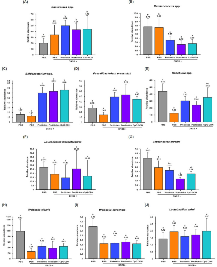 Interconnection of the Gut-Skin Axis in NC/Nga Mouse with Atopic Dermatitis: Effects of the Three Types of <i>Bifidobacterium bifidum</i> CBT-BF3 (Probiotics, Postbiotics, and Cytosine-Phosphate-Guanine Oligodeoxynucleotide) on T Cell Differentiation and Gut Microbiota.
