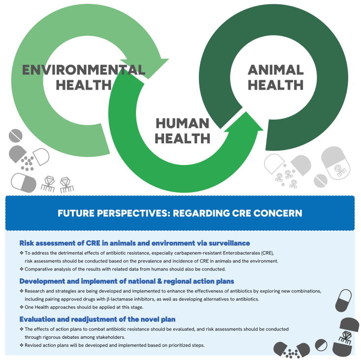 Awareness on the spread of carbapenem-resistant Enterobacterales in animals as One Health.