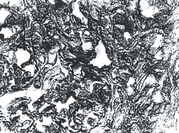Abstract Image