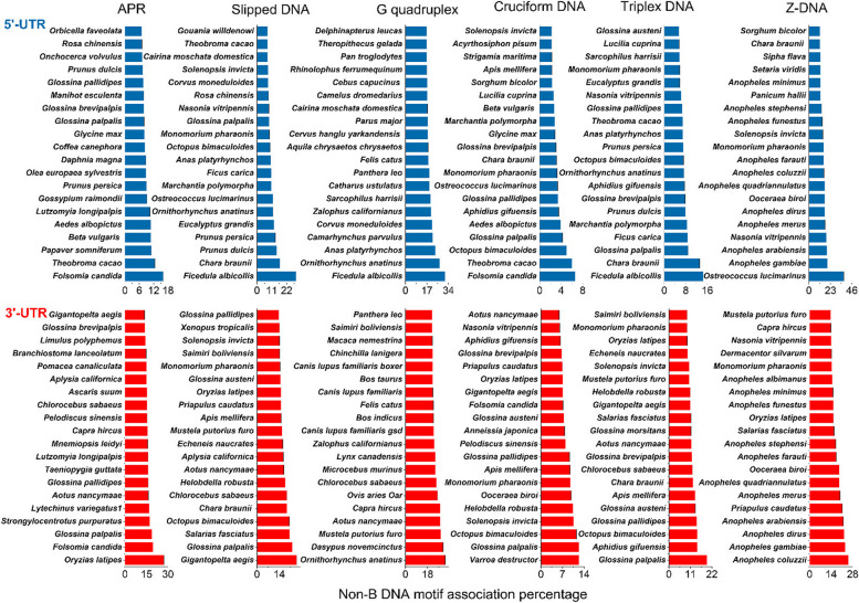 Dissecting non-B DNA structural motifs in untranslated regions of eukaryotic genomes.