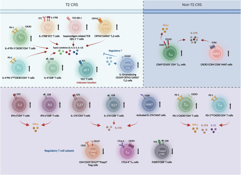 Revisiting T Cells in Chronic Rhinosinusitis.