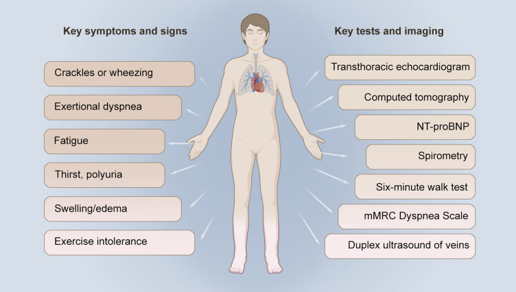 Misdiagnosis of Chronic Heart Failure in Patients with Type 2 Diabetes Mellitus in Primary Care: A Report of Two Cases and Literature Review.