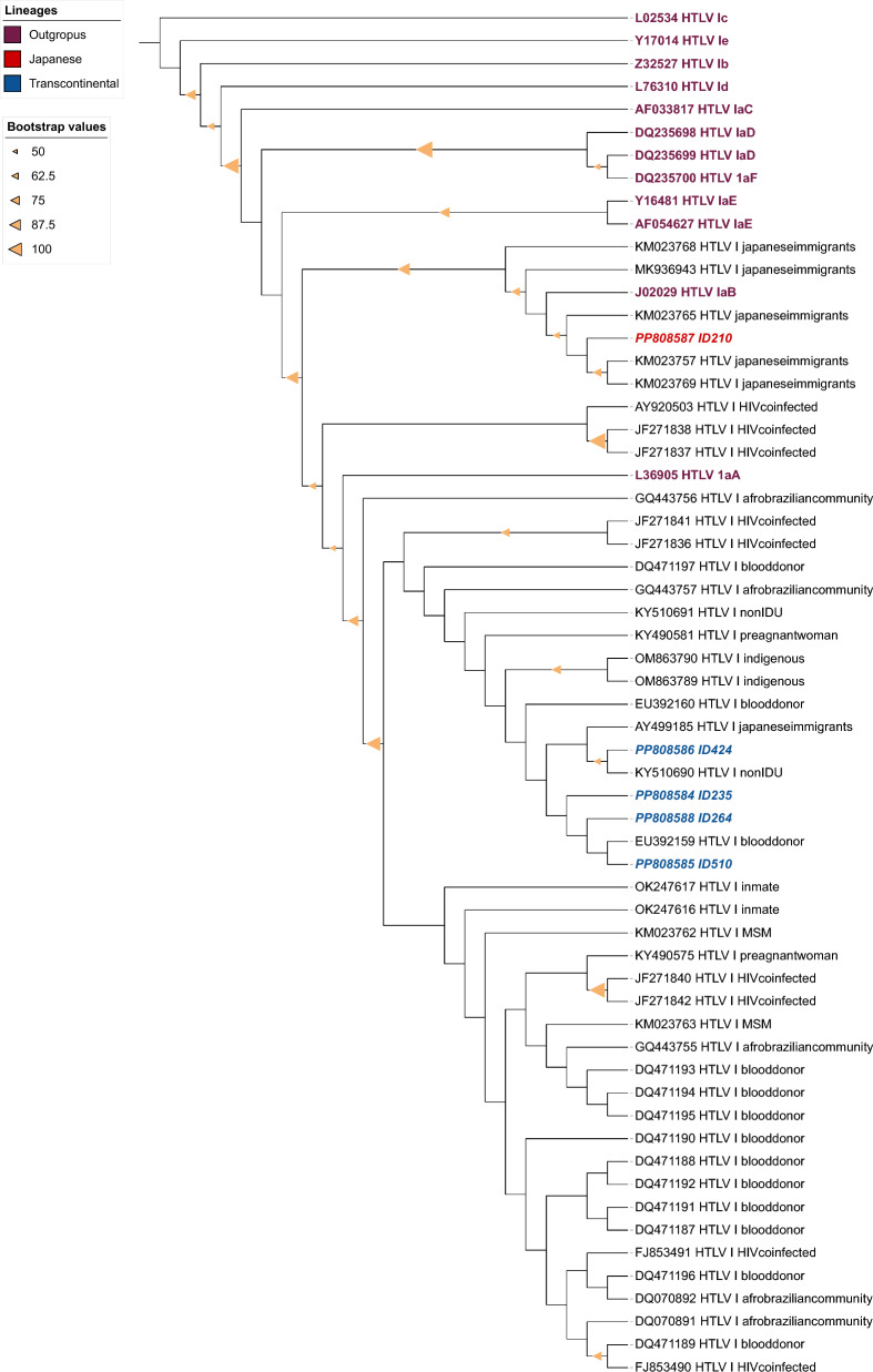 HTLV infection in urban population from Mato Grosso do Sul, Central Brazil.