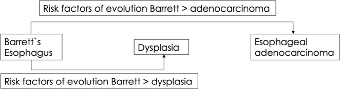 ADENOCARCINOMA AND DYSPLASIA IN BARRETT ESOPHAGUS: CRITICAL ANALYSIS OF RISK FACTORS AND SURVEILLANCE PROTOCOLS.