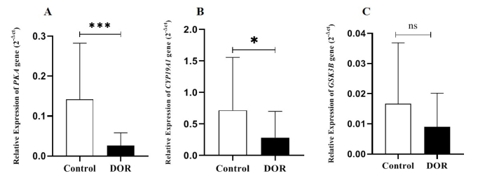 Expression of steroidogenesis pathway genes in cumulus cells from women with diminished ovarian reserve after gonadotropin administration: A case-control study.