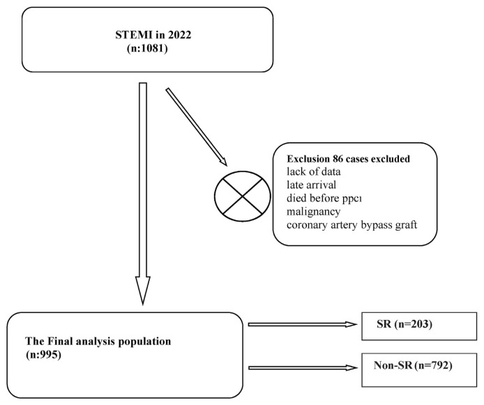 Platelet-to-White Blood Cell Ratio (PWR): A Novel Prognostic Biomarker for Spontaneous Reperfusion after Primary Percutaneous Coronary Intervention.