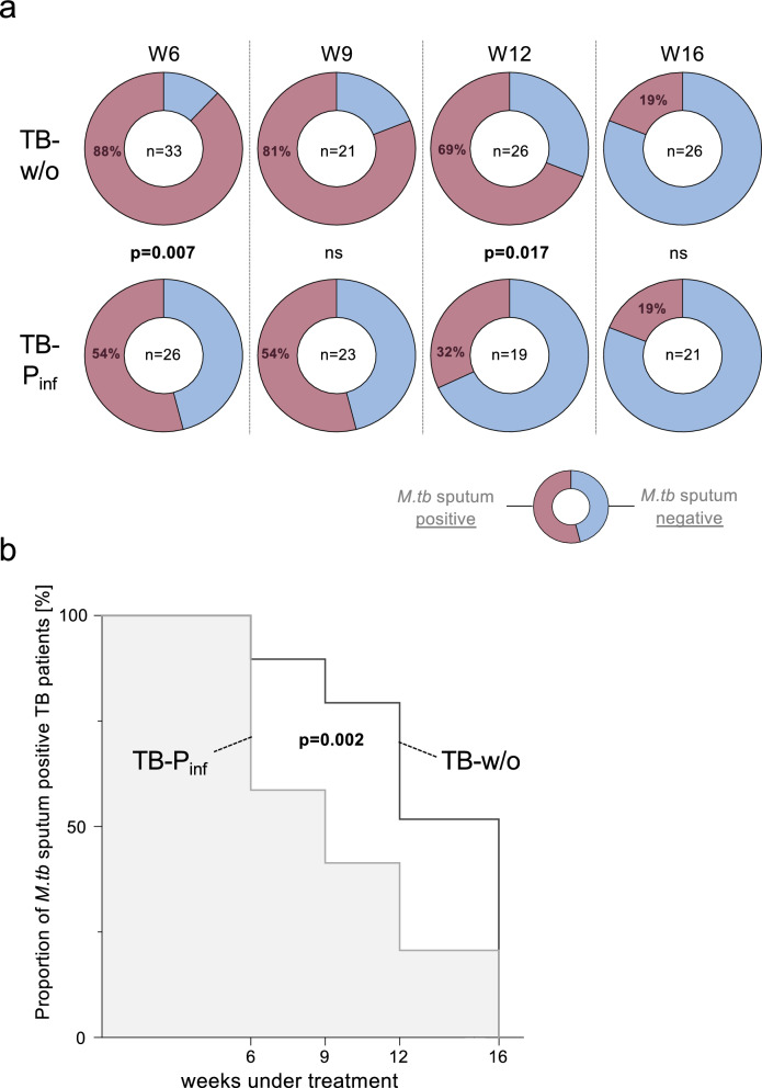 Concomitant parasite infections influence tuberculosis immunopathology and favor rapid sputum conversion of pulmonary tuberculosis patients.