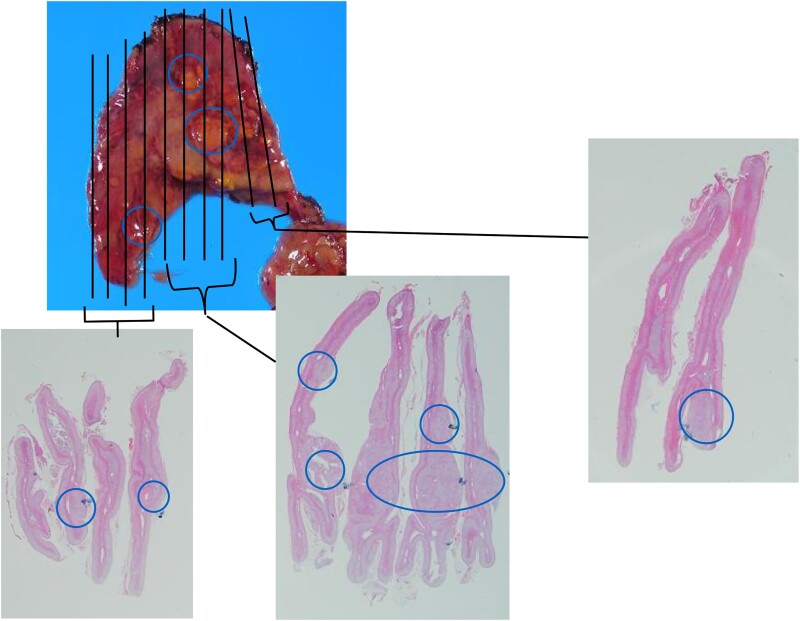 Abstract Image