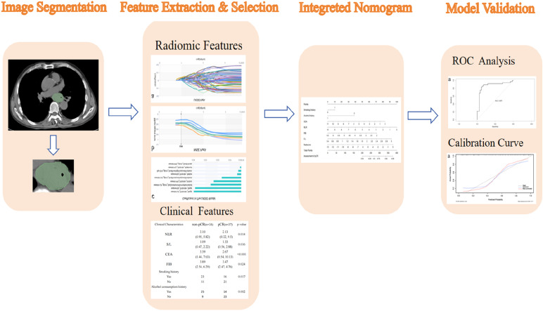 Prediction of Neoadjuvant Chemoradiotherapy Sensitivity in Patients With Esophageal Squamous Cell Carcinoma Using CT-Based Radiomics Combined With Clinical Features.