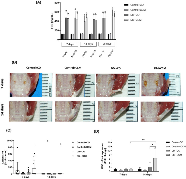 Healing effect of curcumin on tooth extraction sockets in diabetic rats.