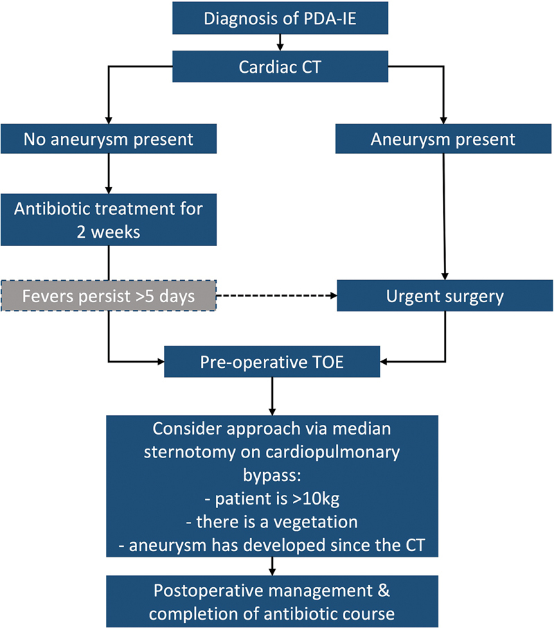Management of Patent Ductus Arteriosus Endarteritis in Children.