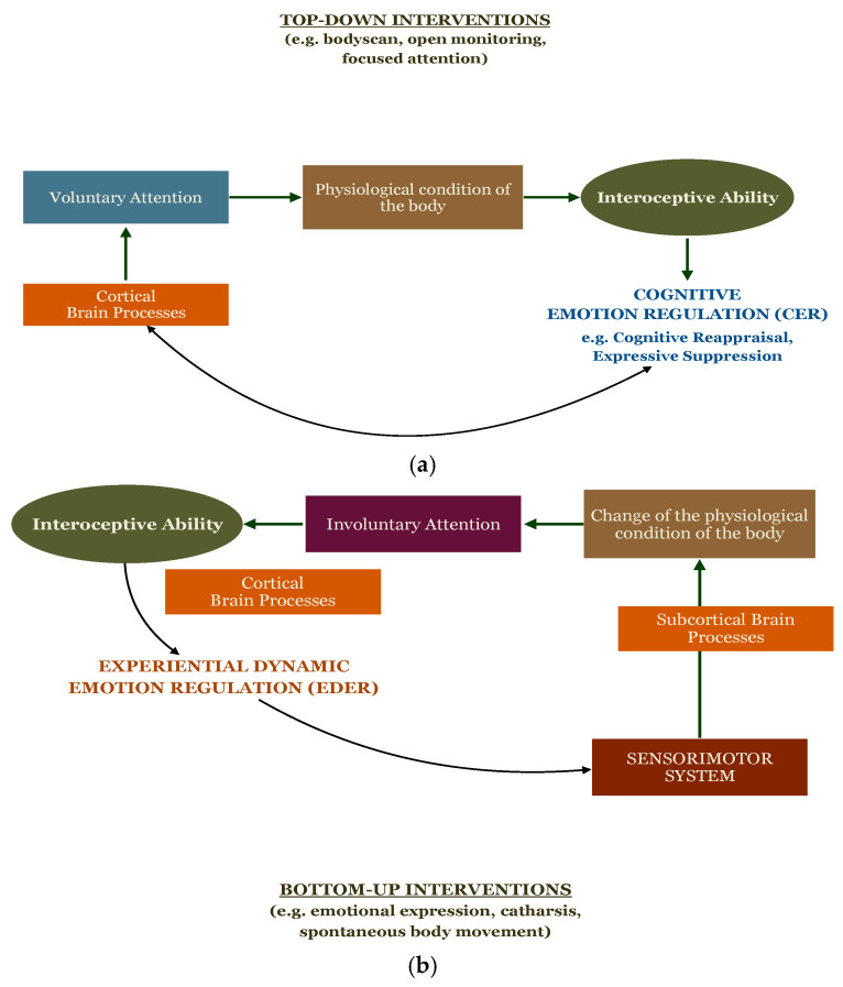 Interoceptive Ability and Emotion Regulation in Mind-Body Interventions: An Integrative Review.