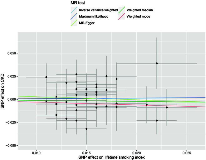 Association of Smoking with Chronic Kidney Disease Stages 3 to 5: A Mendelian Randomization Study.