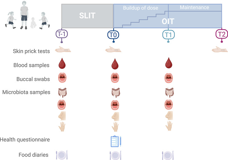 Zéro allergie research clinic: a clinical and research initiative in oral immunotherapy for managing IgE-mediated food allergy.