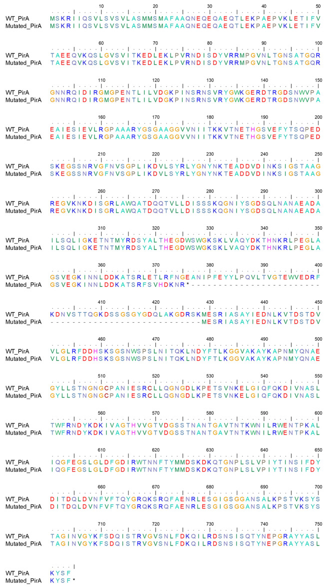 Transmission cluster of cefiderocol-non-susceptible carbapenem-resistant Acinetobacter baumannii in cefiderocol-naïve individuals.