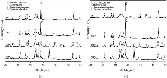 Synthesis of Calcium Phosphate by Microwave Hydrothermal Method: Physicochemical and Morphological Characterization.
