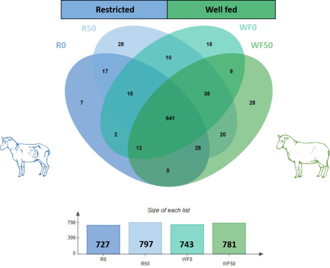 Metabolic status is a key factor influencing proteomic changes in ewe granulosa cells induced by chronic BPS exposure.