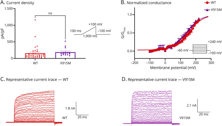 TRPM8 Mutations Associated With Persistent Pain After Surgical Injury of Corneal Trigeminal Axons.