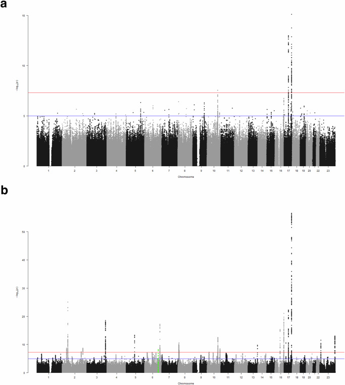 Common protein-altering variant in GFAP is associated with white matter lesions in the older Japanese population.