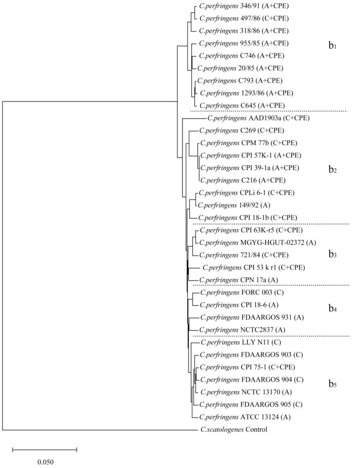 Comparative Phylogenetic Analysis and Protein Prediction Reveal the Taxonomy and Diverse Distribution of Virulence Factors in Foodborne <i>Clostridium</i> Strains.