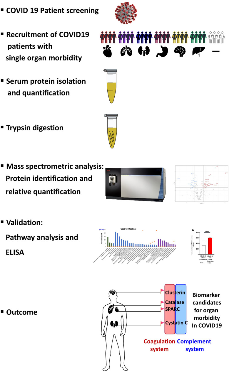 Serum proteomics for the identification of biomarkers to flag predilection of COVID19 patients to various organ morbidities.
