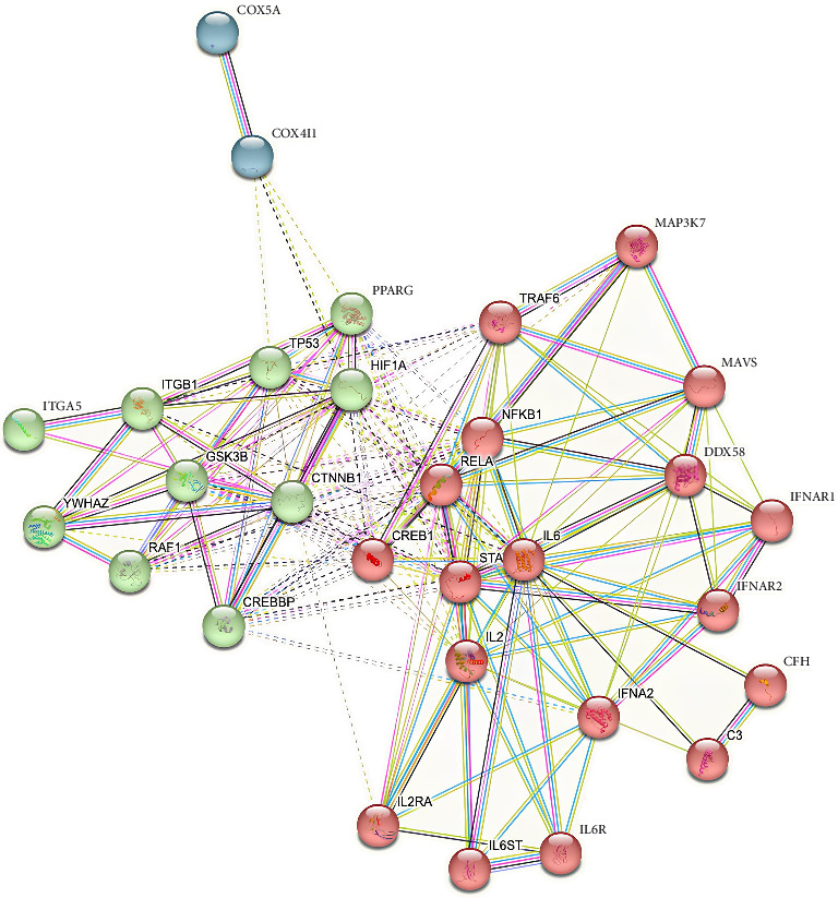 Protein Interaction Analysis and Molecular Simulation of the Anti-Inflammatory Activities in <i>Melaleuca cajuputi</i> Extract Against COVID-19.