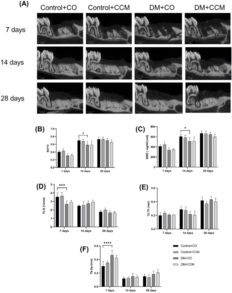 Healing effect of curcumin on tooth extraction sockets in diabetic rats.