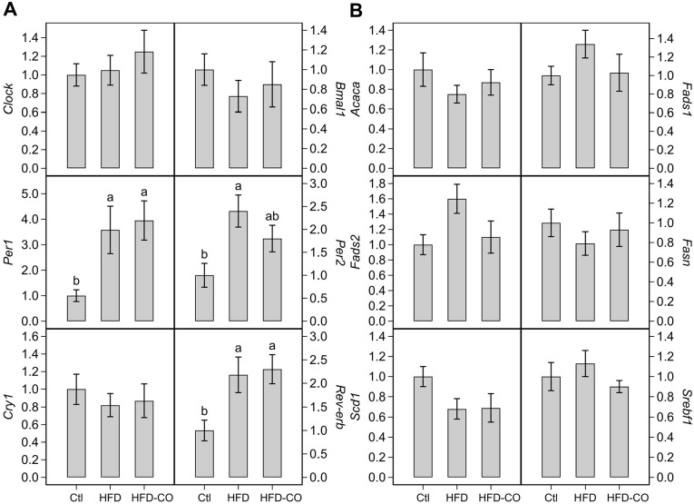 Dietary Intake of Chromista Oil Alters Hepatic Metabolomic Profile of Mice With Excess Fat Mass.