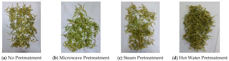 Different Pretreatment Methods to Strengthen the Microwave Vacuum Drying of <i>Honeysuckle</i>: Effects on the Moisture Migration and Physicochemical Quality.